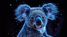  A Digital Painting Of A Koala Bear With Stars All Over It's Face And Neck, With A Black Background And A Blue Sky Filled With White Dots.