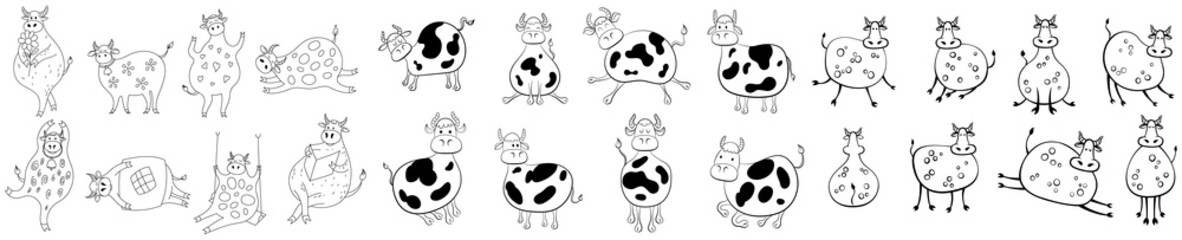 Set of farm animals hand drawn. Illustration of cow poses isolate on white doodle style.