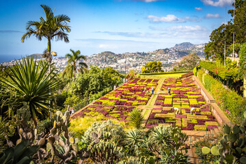 botanical garden in funchal, monte, madeira, jardim botanico madeira, garden, tropical flowers, view, ocean,