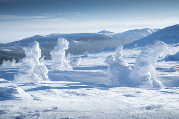 Canvas Print - Snowy mountains