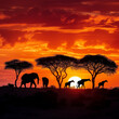 Savannah Sunset - African Safari Silhouette