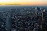 Fototapeta  - The panorama of Tokyo, Japan
