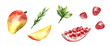 Watercolor fresh summer juicy fruits set pomegranate, mango, mint leaves, rosemary