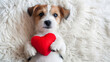 puppy with heart