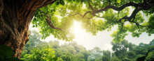 Panoramic Illustration Of Beautiful Old Tree With Lush Green Foliage In Summer.