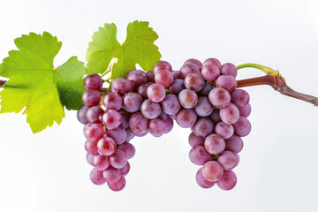 bunch of grapes isolated on white baxkground