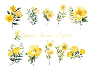 Wall Mural - set water color flowers, color yellow very detailed, which is suitable for white background wedding templates