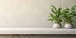 Green plants on a terrazzo shelf, with minimal interior and ceiling moulding.