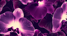 An Orchid Flower Pattern In A Purple And White Color