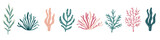 Fototapeta Pokój dzieciecy - Vector collection of colorful corals. Underwater plants on white background . Vector illustration