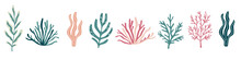 Vector Collection Of Colorful Corals. Underwater Plants On White Background . Vector Illustration