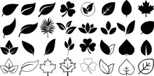 Leaf Silhouettes, Vector Collection, Diverse Leaves Shapes, Nature Elements. Ideal For Eco Friendly Brand Aesthetics, Botanical Illustrations, Educational Materials, Artistic Designs, Decorations.