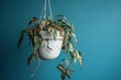 Neglected dying plant. Hanging potted flower with dried leaves. Generate ai