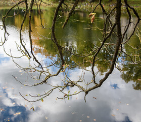 Poster - Surface of the calm water.