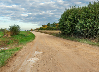 Poster - Country road with a puddle.