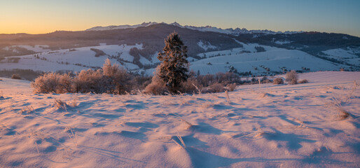 Wall Mural - extremely frosty mountain landscape at sunrise.pieniny mountain,poland.