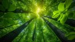 A lush green forest filled with sunlight and sunbeams Generative AI