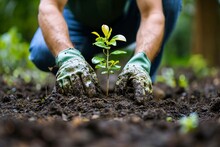 Green Thumbs Up: A Man's Monthly Gardening Routine Generative AI