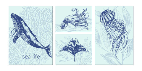 Vector sea animals illustration set