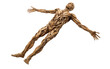 © Muhammad - man wooden with arms down on white or PNG transparent background.