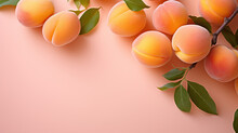 Apricot Pile Photo