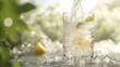 Refreshing and cold sparkling water with lemon and mint