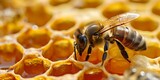 Close-up of a honeybee at work on honeycomb cells. nature's marvel in detail. perfect for educational and environmental projects. AI