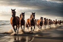Horses Racing On The Beach Among A Herd Of Red, Black, And White Horses