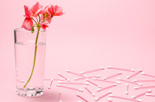 Delicate Background For Cosmetic Procedures. Geranium Flower In A Glass Of Water