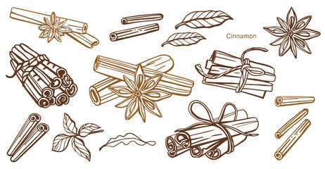 Sticker - Isolated hand drawn vector set of cinnamon in engraving style. Braun and chocolate colors. Cinnamon sticks and star anise. Style spice and flavor object. Cooking and aromaterapy ingredient.