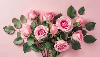 Poster - pink rose flowers bouquet on pink background flat lay top view minimal floral composition