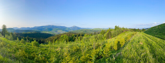 Wall Mural - Panorama of the Carpathian Mountains