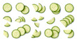 Set or collection of various fresh cucumber slices on white background