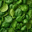 Spinach vegetables photo Background of fresh spinach arranged together on whole image 