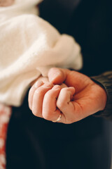 Wall Mural - parent and child hands