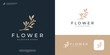 Minimalist beauty olive branch logo design template