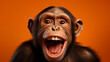 Le portrait d'un jeune chimpanzé souriant sur fond orange