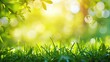 A fresh spring sunny garden background of green grass and blurred foliage bokeh. 