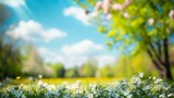 Fototapeta Kwiaty - Sunny Day in Nature, Blurred Spring Background with Blooming Trees and Blue Sky