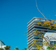 © Alberto GV PHOTOGRAP - building sky blue coconut grove downtown