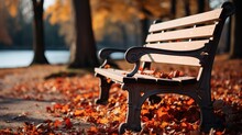 Autumn Landscape With Bench And Trees UHD Wallpaper