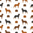 Polish Hunting dog seamless pattern. All coat colors set.  All dog breeds characteristics