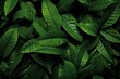 Exquisite tropical foliage. creating an alluring and enchanting backdrop with a rich, moody design
