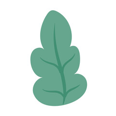 Wall Mural - isolated colored natural leaf icon vector