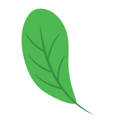 Wall Mural - isolated colored natural leaf icon vector