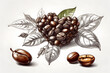 Front view of aesthetic coffee beans illustration or cartoon on white background