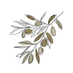 Wall Mural - Olive branch with olives simple line art drawing