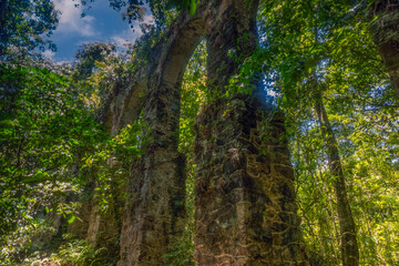 Wall Mural - Ancient aqueduct taken over by the rainforest in the protected resort island of Ilha Grande, Rio de Janeiro state, Brazil, The island interior is a nature reserve