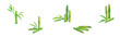 Bamboo Green Stalk or Stem with Leaf Vector Set