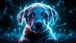 Puppy Dog Animal Plexus Neon Black Background Digital Desktop Wallpaper HD 4k Network Light Glowing Laser Motion Bright Abstract	